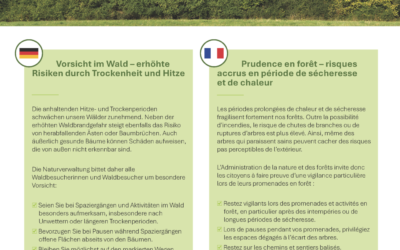 Vorsicht im Wald / Attention en