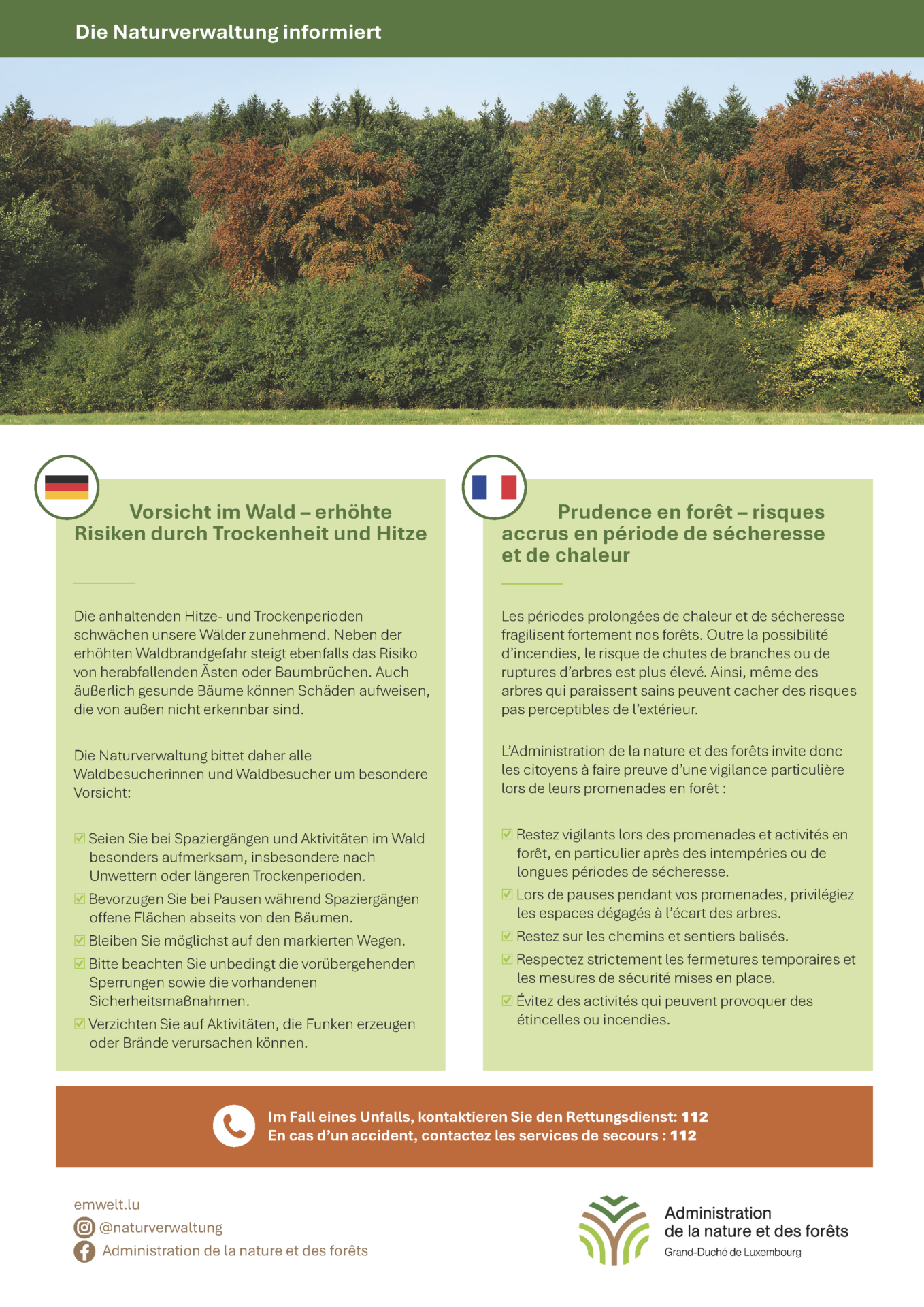Vorsicht im Wald / Attention en